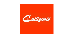 calligaris design